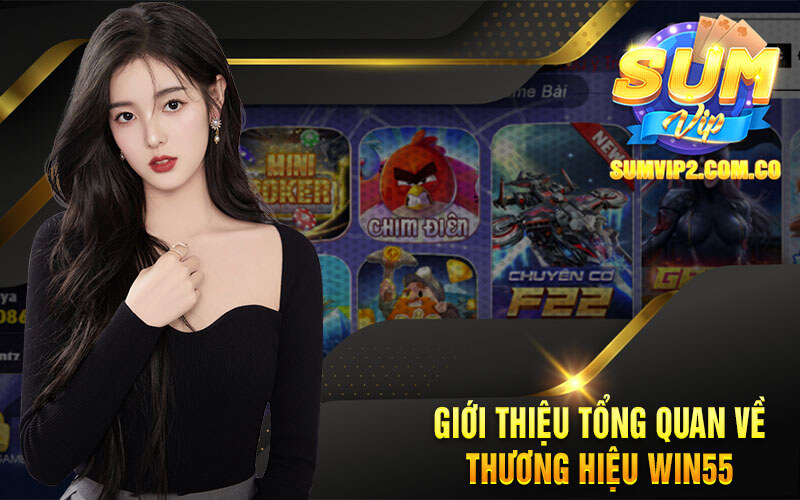 Giới Thiệu Tổng Quan Về Thương Hiệu Win55