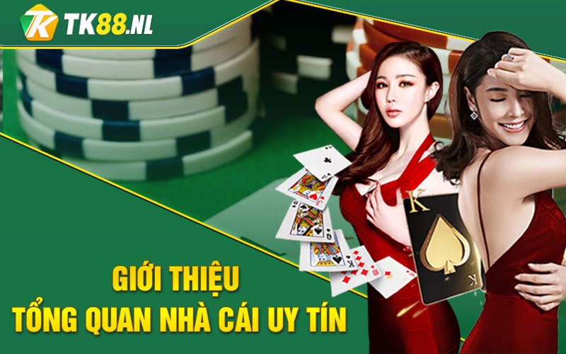 Giới Thiệu Tổng Quan Về Sân Chơi Hàng Đầu Tk88